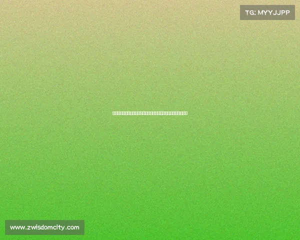 羽毛球全球挑战赛纪实国际高手汇聚一堂角逐荣耀展现运动精神真谛